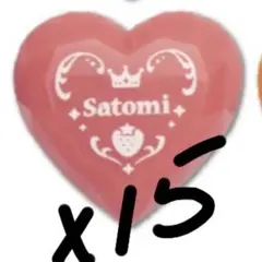 さとみくんリングライト15個