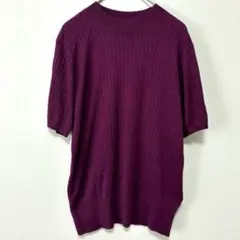 【美品】【ミッシェルクラン】半袖ニット　パープル　38/M 美シルエット【D4】のサムネイル