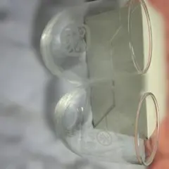 伊右衛門 グラス 2個セット だるま柄
