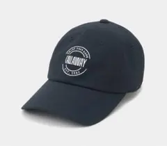 Item thumbnail for item 07757d78-1b29-4752-8975-2acf2d7aa34e