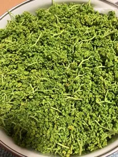 天然 花山椒 100g 採りたて 青森産 クール便 - メルカリ