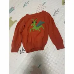 インセクトコレクション　カマキリセーター