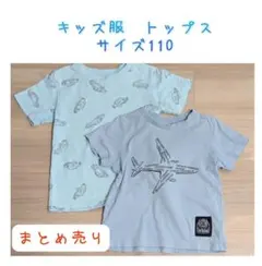 キッズ服 トップス Tシャツ 110cm 2枚セット