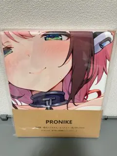 イカロス　バスタオル　タペストリー　18