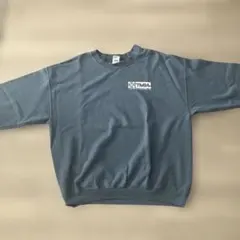 グッドカラー ギルダン スウェット XL ブルー ワンポイント 企業ロゴ Y2Kのサムネイル