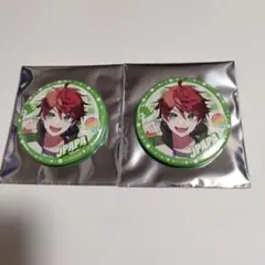 カラフルピーチ　缶バッチコレクション　じゃぱぱさん