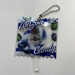 パペットスンスン　ランダムキャンディキーホルダー　ゾンゾン　キャンディストア