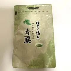 宇治 丸久小山園 抹茶 若竹100g袋 賞味期限2026年12月以降 - メルカリ