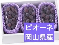 予約受付ページ❤️岡山ピオーネ きれいな家庭用2キロ - メルカリ