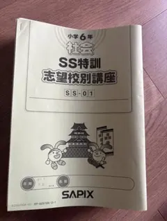 小学校6年 社会 SS特訓 SAPIX 志望校別講座 14冊セット