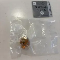 【みかんぼうや】新品未使用 サンエックス ユニバース マスコット チャーム