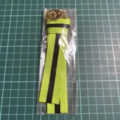 ツイステ ディアソムニア寮 チャームキーホルダー