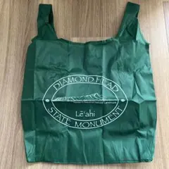 Item thumbnail for item 4c4159a3-8d9f-4f12-9f5b-6b49dab05037