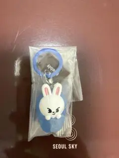 Stray Kids Leebit めじるしアクセサリー