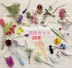 ドライフラワー　花材セット　20本〜素材　小花、木の実