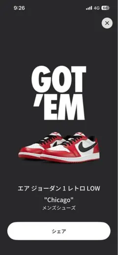 Nike Air Jordan 1 Retro Low Chicago 25.0