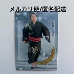 Item thumbnail for item 00a35230-326b-4f91-9623-529dade57d51