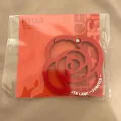 三代目 JSB LAND FOREVER ローズカラビナ RED 今市隆二のサムネイル
