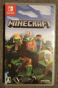 Minecraft Nintendo Switch