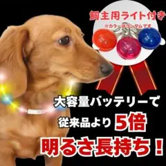大型犬～中型兼用 70㎝ 光る首輪 USB-C充電 30時間点灯 夏祭りにも