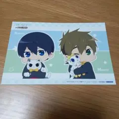 free! ハイスピード　ナンジャタウン　特典
