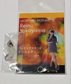 横山玲奈 FSK ミニアクキー