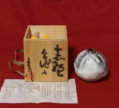 【2026年 丙午 縁起物】瀬戸焼 王子窯 加藤寛治作 馬型埴輪 共箱・完品 2026年最新】加藤 王子窯の人気アイテム - メルカリ
