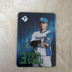 北海道日本ハムファイターズ 郡司裕也 アクリルスタンド - メルカリ