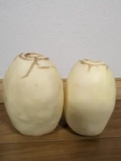 広島県産白メロンの種　15粒とキンショウメロンの種　15粒のサムネイル