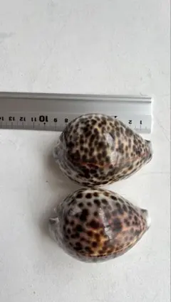 Item thumbnail for item fc282975-f96e-437e-a9f4-42ef5a20c240