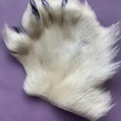 Item thumbnail for item 15cb2528-2fe8-4a44-80b6-e2e266da07b3