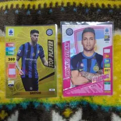 Panini Adrenalyn XL インテル選手カード 2枚セット