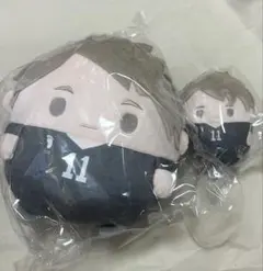 ハイキュー くじメイト ぬいくじ C賞 D賞 ふわコロりん 宮治