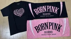 Item thumbnail for item a3b7e732-3386-4339-ad37-fbe98e0027f9