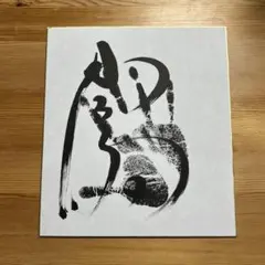 琴櫻　チェキ　直筆サイン入り　大相撲 直筆サイン】横綱 琴櫻 故人 - メルカリ