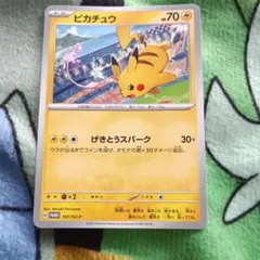 ポケカコレクター】☆まなちゃん☆様 リクエスト 2点 まとめ商品 