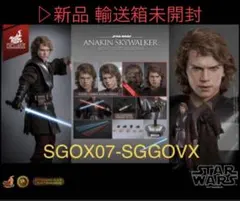 ホットトイズ アルチザン アナキン スカイウォーカー 植毛限定版 ダースベイダー