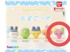 *たまごっち ふらわっち カプセルフロッキーズ ガチャ*