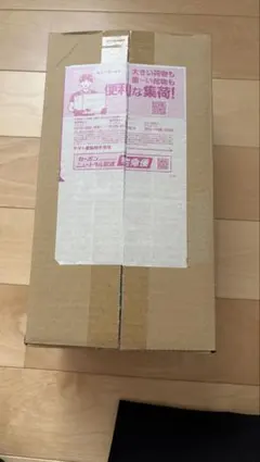 【シュリンク・納品書付き】ポケモンセンターヒロシマ スペシャルBOXのサムネイル