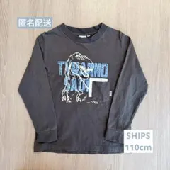 【値下げ】SHIPS KIDS 恐竜 蓄光 プリント 長袖Tシャツ【110cm】