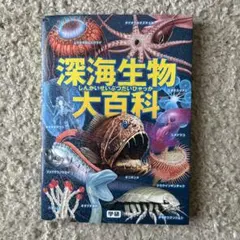 2026年最新】らくらく生物統計学/丸山明/丸山明/深澤史樹の人気
