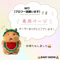 M♡さま専用☆