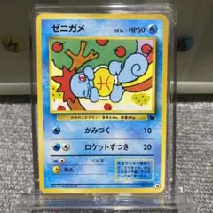 ポケカ　旧裏　イントロパック　ゼニガメ　フシギダネマーク入り