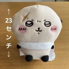 ちいかわ/しーぷわぬいぐるみ２/ラッコさん