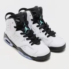 NIKE AIR JORDAN 6 RETRO GS 24.5cm