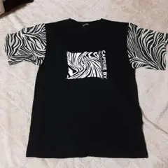 ゼブラ
