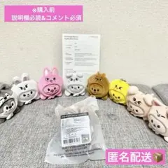 straykids SKZOO KEYRING ver. ハン