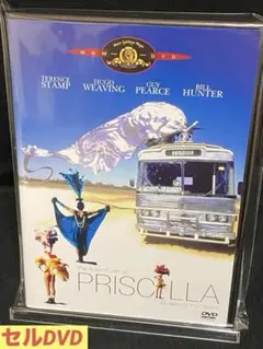 洋画／映画／DVD／ドラァグ・クイーン／コメディ／ロードムービー／プリシラ