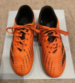 Item thumbnail for item 031a24ba-3e47-4ad9-ba33-f45ff3b3d74c