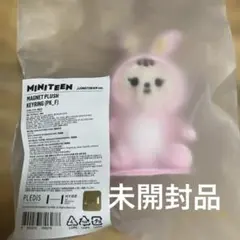 MINITEEN ジョンハン マグネット ぬいぐるみ ジョントラム